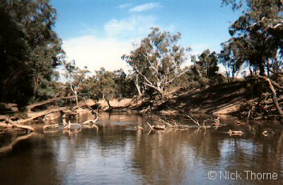 A photo of the Gouburn river in north east victoria showing instream woody debris (snags)